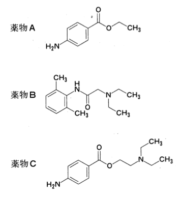 解説画像
